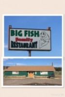Big-Fish-150x224.jpg