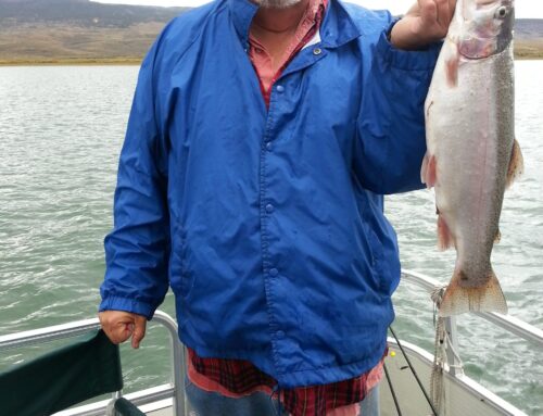 Another Panguitch Lake Trout